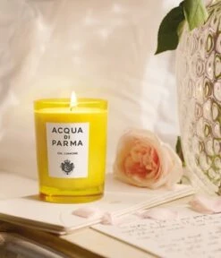 Acqua Di Parma Glass Candle Primo Amore Duftkerze -Pflegemittel Geschäft acqua di parma glass candle primo amore duftkerze 200 g 8028713620027 detail