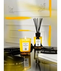 Acqua Di Parma Grazie Raumduft -Pflegemittel Geschäft acqua di parma grazie raumduft 180 ml 8028713623165 visual3