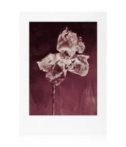 ALLSAINTS Flora Mortis Eau De Parfum 7 ALLSAINTS Flora Mortis Eau De Parfum -Pflegemittel Geschäft allsaints flora mortis eau de parfum 100 ml 0719346651882 detail