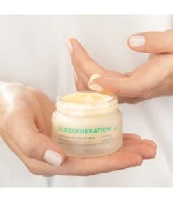 ANNEMARIE BÖRLIND LL REGENERATION Vitalisierende Nachtcreme Nachtcreme 11 ANNEMARIE BÖRLIND LL REGENERATION Vitalisierende Nachtcreme Nachtcreme -Pflegemittel Geschäft annemarie boerlind ll regeneration system vitality nachtcreme 50 ml 4011061006005 visual