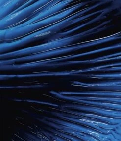 Biotherm Homme Force Supreme Gel Gesichtsgel 10 Biotherm Homme Force Supreme Gel Gesichtsgel -Pflegemittel Geschäft biotherm homme force supreme gel gesichtsgel 50 ml 3614272974999 visual2