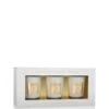 BIRKHOLZ Mini Candle Sets Cosy Time Kerzenset -Pflegemittel Geschäft birkholz mini candle sets cosy time kerzenset 1 stk 4250588323145