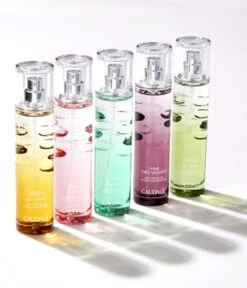 CAUDALIE Eau Fraîche Thé Des Vignes Eau Fraîche -Pflegemittel Geschäft caudalie eau fraiche the des vignes eau fraiche 50 ml 3522930003885 visual