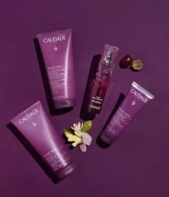 CAUDALIE Eau Fraîche Thé Des Vignes Eau Fraîche -Pflegemittel Geschäft caudalie eau fraiche the des vignes eau fraiche 50 ml 3522930003885 visual3