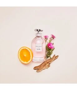 Coach Dreams Eau De Parfum -Pflegemittel Geschäft coach dreams eau de parfum 40 ml 3386460109581 detail