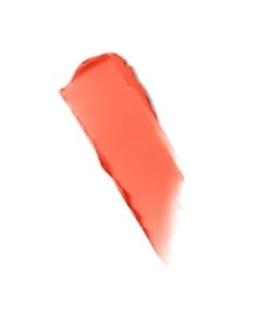 DIOR Rouge Dior Birds Of A Feather Lippenstift -Pflegemittel Geschäft dior rouge dior birds of a feather lippenstift nr 344 vibrant coral 3348901516679 visual