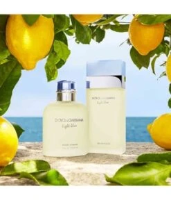 Dolce & Gabbana Dolce&Gabbana Light Blue Eau De Toilette -Pflegemittel Geschäft dolce and gabbana null eau de toilette 25 ml 3423473020257 visual3