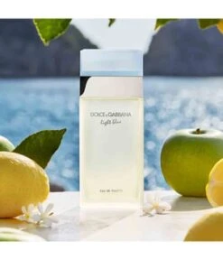 Dolce & Gabbana Dolce&Gabbana Light Blue Eau De Toilette -Pflegemittel Geschäft dolce gabbana light blue eau de toilette 100 ml 3423473020233 detail