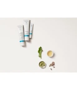 Dr. Hauschka Med Lavaerde Haarshampoo -Pflegemittel Geschäft dr hauschka med lavaerde haarshampoo 150 ml 4020829085770 visual