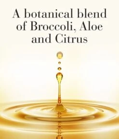 Elizabeth Arden Flawless Start Instant Perfecting Primer Antioxidant Blend Primer -Pflegemittel Geschäft elizabeth arden flawless start instant perfecting primer antioxidant blend primer 45 g no color 0085805213312 visual3