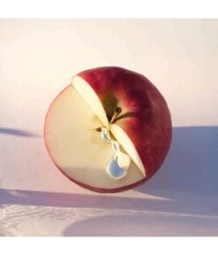 HUGO BOSS ALIVE Bodylotion -Pflegemittel Geschäft hugo boss alive bodylotion 200 ml 3614229660388 visual