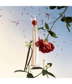 KENZO Flower By Kenzo L'Absolue Duftset -Pflegemittel Geschäft kenzo flower by kenzo l absolue duftset 1 stk 3274872454606 pack