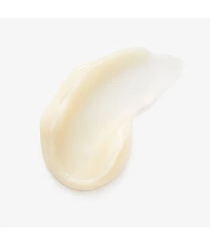 Kiehl's Calendula Serum-Infused Water Cream Gesichtscreme 4 Kiehl's Calendula Serum-Infused Water Cream Gesichtscreme – Bild 2