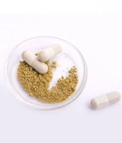 Pacific Healthcare Deepcell Restore Caps+ Nahrungsergänzungsmittel 9 Pacific Healthcare Deepcell Restore Caps+ Nahrungsergänzungsmittel -Pflegemittel Geschäft pacific healthcare deepcell restore caps nahrungsergaenzungsmittel 60 stk 4260702362011 detail