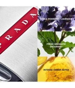 Prada Luna Rossa Eau De Toilette -Pflegemittel Geschäft prada luna rossa eau de toilette 50 ml 8435137729197 detail