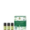 Primavera Duftende Waldkraft Duftset -Pflegemittel Geschäft primavera duftende waldkraft duftset 15 ml 4086900444829