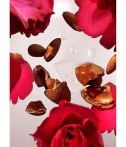 Rituals The Ritual Of Ayurveda Sweet Almond Oil & Indian Rose Bath & Body Medium Gift Set Körperpflegeset -Pflegemittel Geschäft rituals the ritual of ayurveda medium gift set 2022 koerperpflegeset 1 stk 8719134141993 visual3