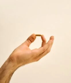 Ruby Libido Booster Für Ihn Pflanzliches Potenzmittel Nahrungsergänzungsmittel -Pflegemittel Geschäft ruby libido booster fuer ihn pflanzliches potenzmittel nahrungsergaenzungsmittel 20 stk 4260760730036 visual2