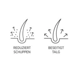 System Professional LipidCode Man Anti-Dandruff (M1D) Haarshampoo -Pflegemittel Geschäft system professional man anti dandruff m1d haarshampoo 250 ml 4064666010090 detail