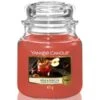 Yankee Candle Apple & Sweet Fig Duftkerze 1 Yankee Candle Apple & Sweet Fig Duftkerze -Pflegemittel Geschäft yankee candle apple and sweet fig duftkerze 411 g 5038581147734