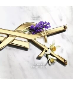 Yves Saint Laurent Libre Eau De Parfum -Pflegemittel Geschäft yves saint laurent libre eau de parfum 30 ml 3614272648401 detail