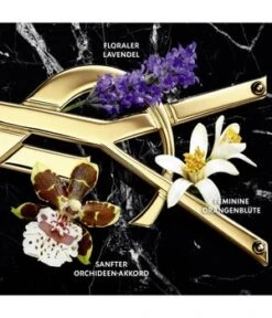 Yves Saint Laurent Libre Intense Eau De Parfum -Pflegemittel Geschäft yves saint laurent libre intense eau de parfum 30 ml 3614273069533 detail